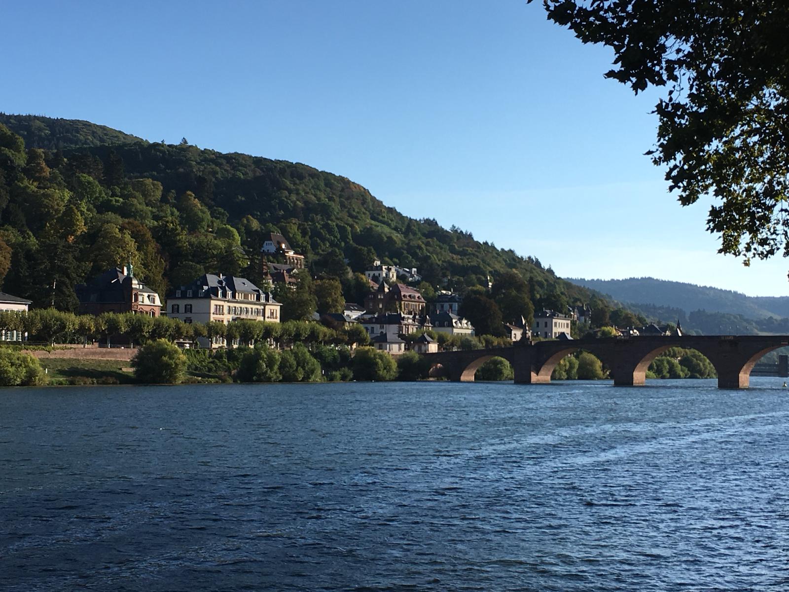 Blick von der Altstadt auf den Neckar