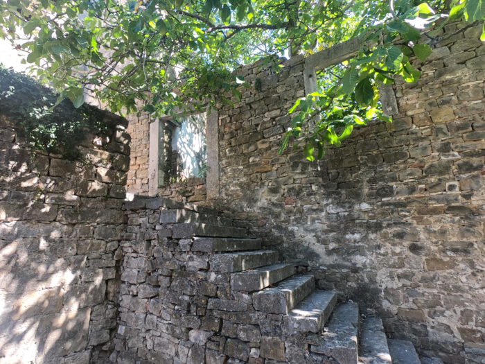Alte Steintreppe an einer historischen Natursteinmauer unter grünem Blätterdach
