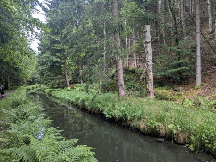 Triftweg nahe Bayerisch Eisenstein