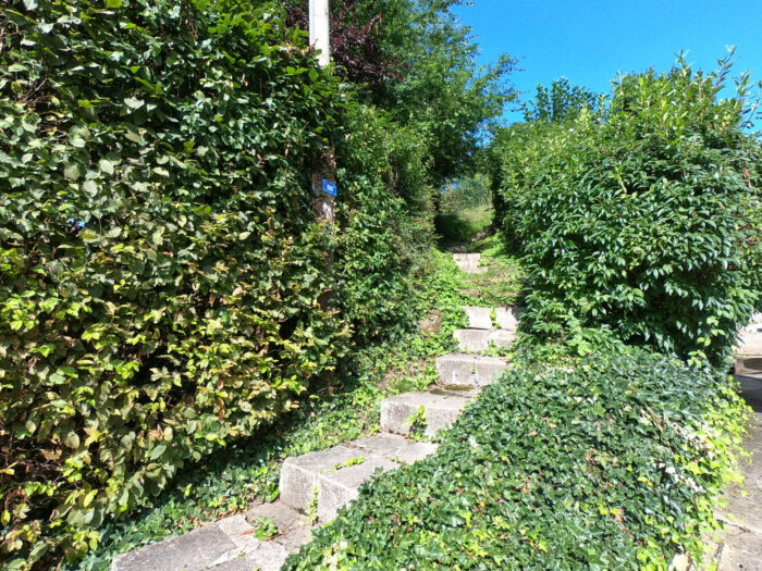 Aufstieg zur Burg Wernfels