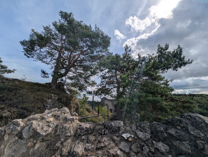 Große Kiefern auf einem felsigen Hügel bei der Burgruine Lichtenegg unter sonnigem, leicht bewölktem Himmel