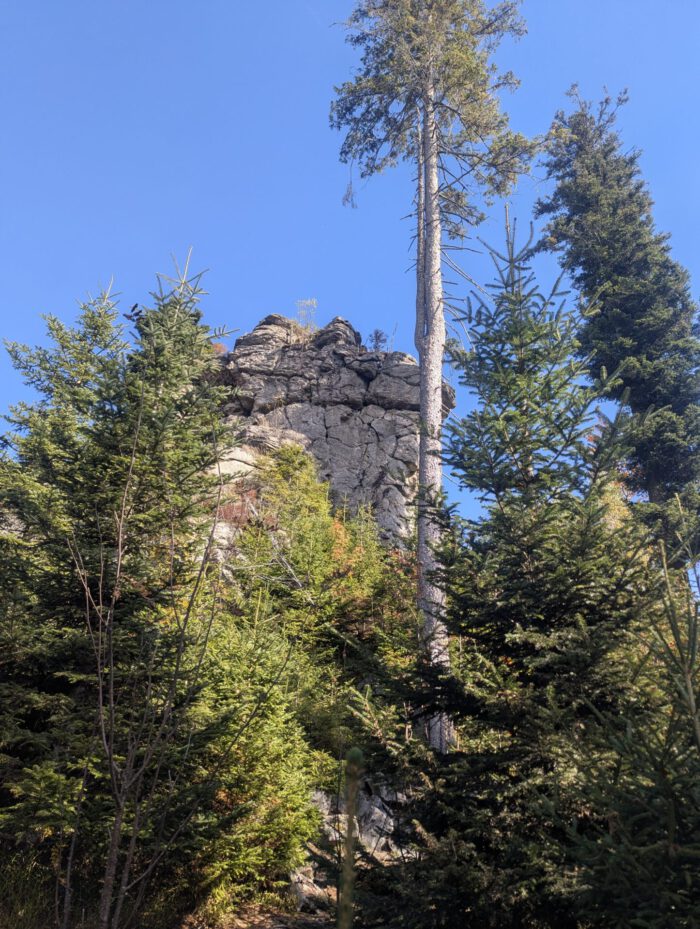 Markante Felsformation - der Ödriegel - ragt zwischen hohen Nadelbäumen unter blauem Himmel empor