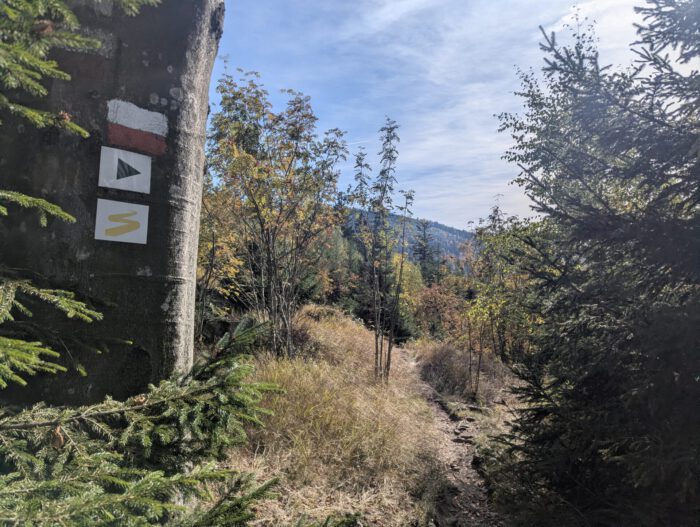 Wanderpfad durch herbstlichen Bergwald mit Wegmarkierungen an einem Baumstamm im Vordergrund